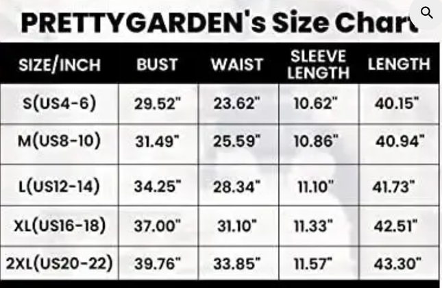 New Pretty Garden Floral Shirred Elastic Bodice Dress with Puff Sleeves