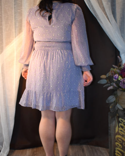 Hollister Chiffon Textured Purple Rose Design Fabric Dress with Shirred Waist and Shirred Cuff Sleeves