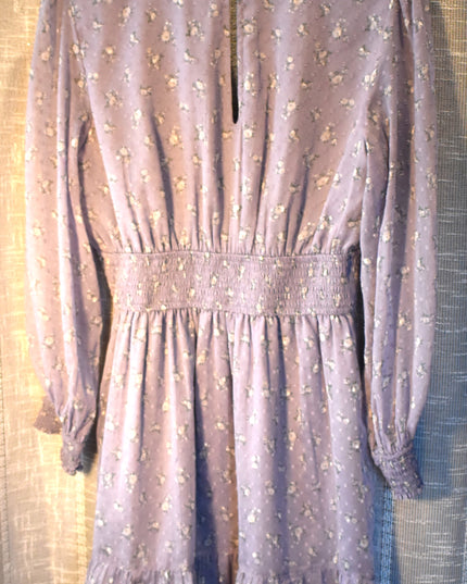 Hollister Chiffon Textured Purple Rose Design Fabric Dress with Shirred Waist and Shirred Cuff Sleeves