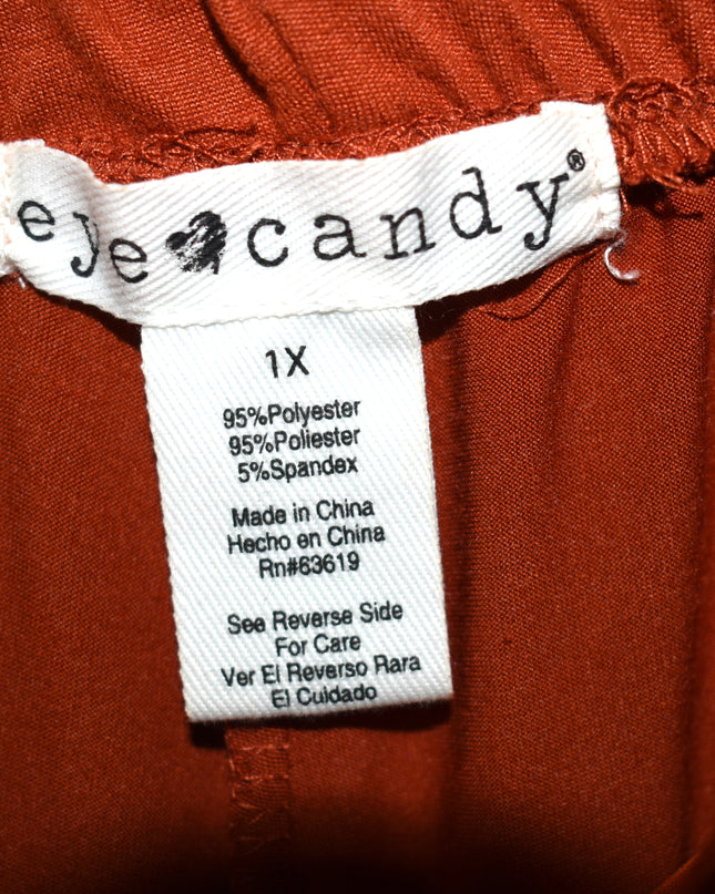 New Eye Candy Rust Colored Stretch Pants